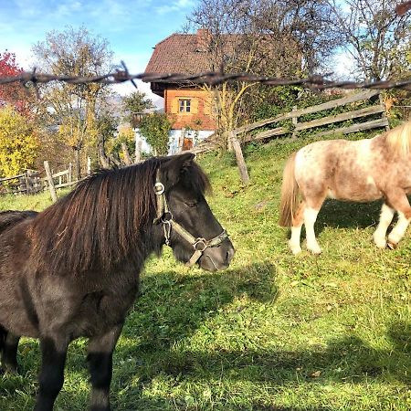 Feielhof Hotel Krakaudorf Luaran gambar
