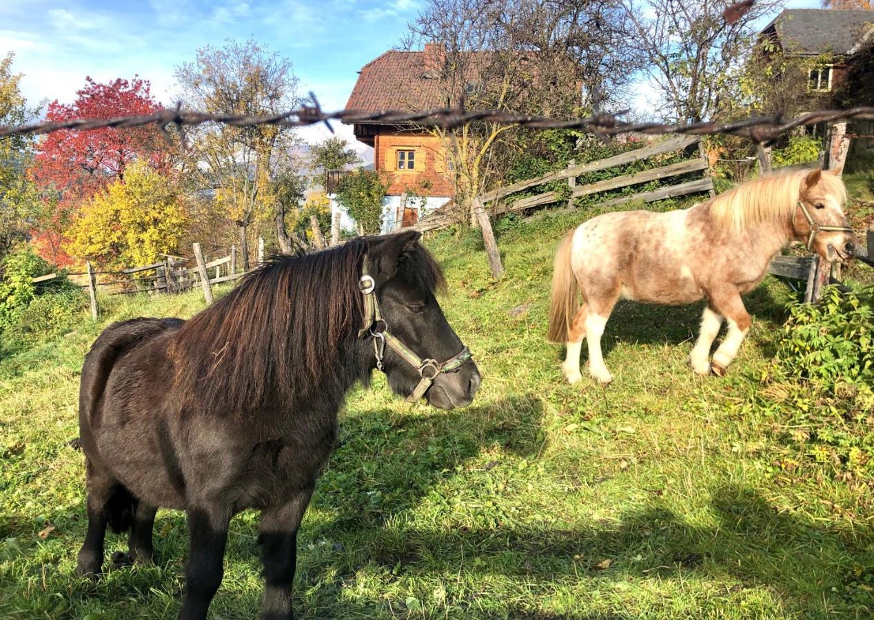 Feielhof Hotel Krakaudorf Luaran gambar